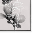 Floral Impressions II