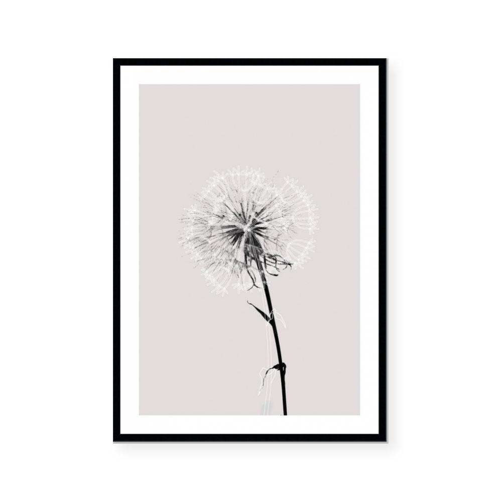 Floral Impressions IV