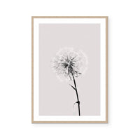 Floral Impressions IV