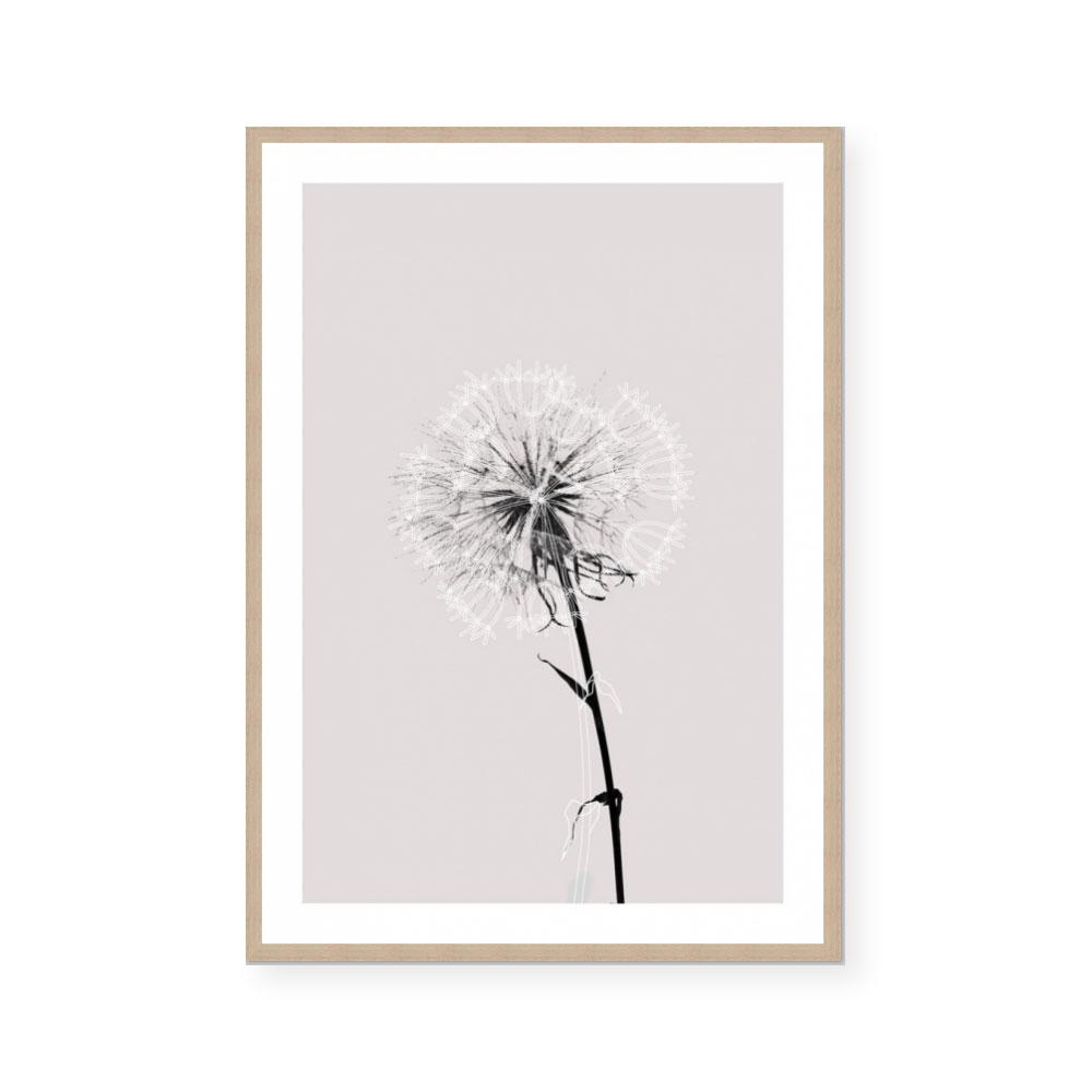 Floral Impressions IV