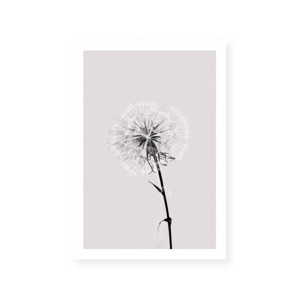 Floral Impressions IV