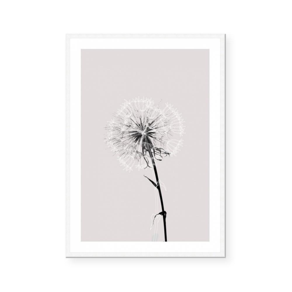 Floral Impressions IV