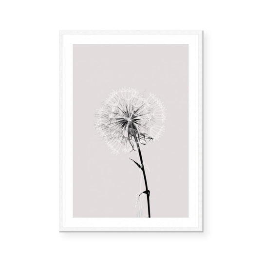 Floral Impressions IV