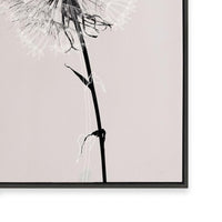 Floral Impressions IV