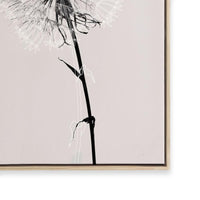 Floral Impressions IV