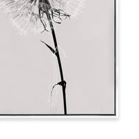 Floral Impressions IV