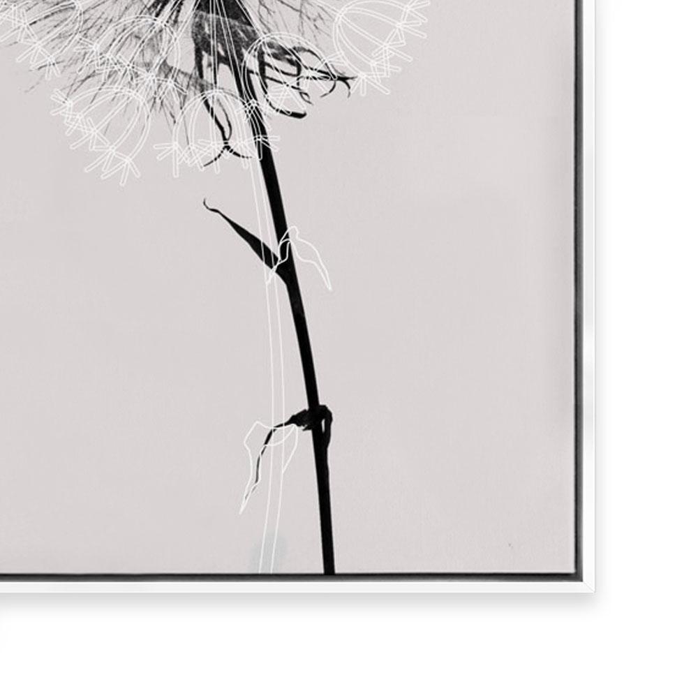 Floral Impressions IV