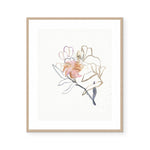 Floral Study #1 | Framed Print | Annie Everingham