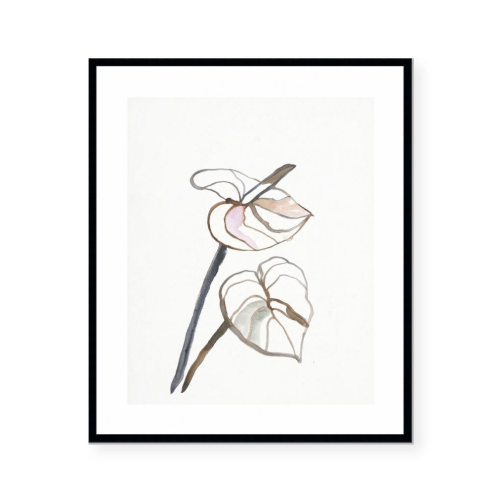Floral Study #2 | Framed Print | Annie Everingham