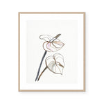 Floral Study #2 | Framed Print | Annie Everingham