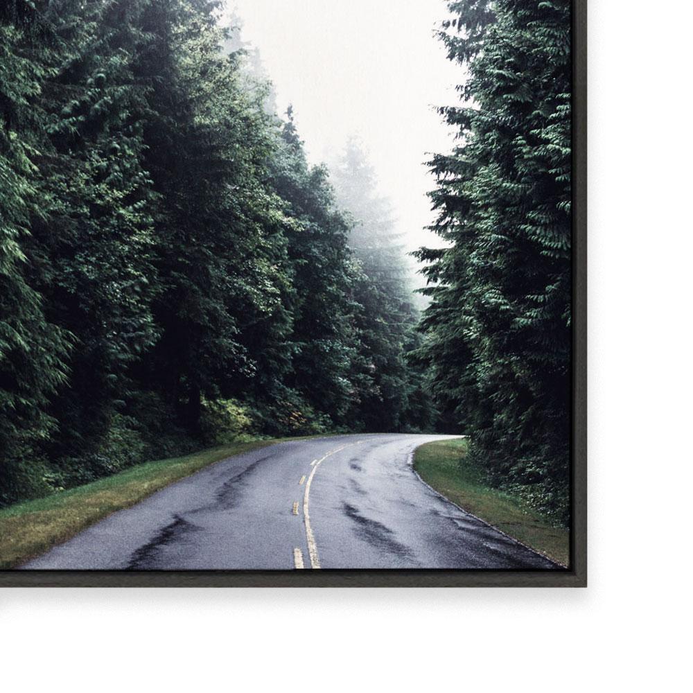 Forest Road