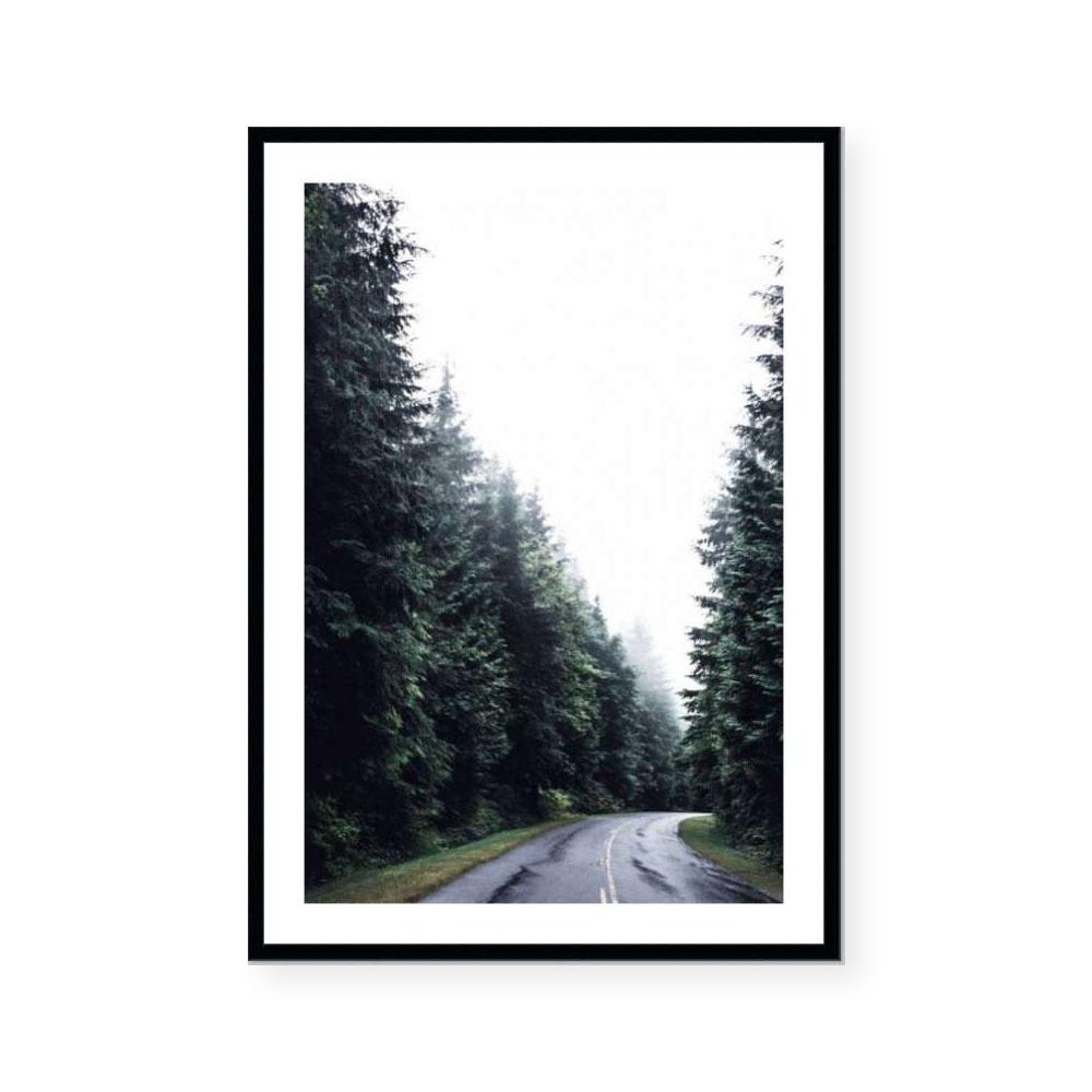 Forest Road