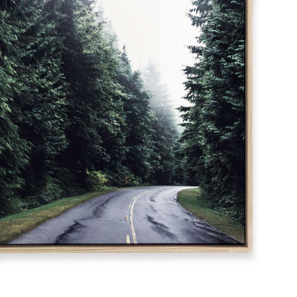 Forest Road