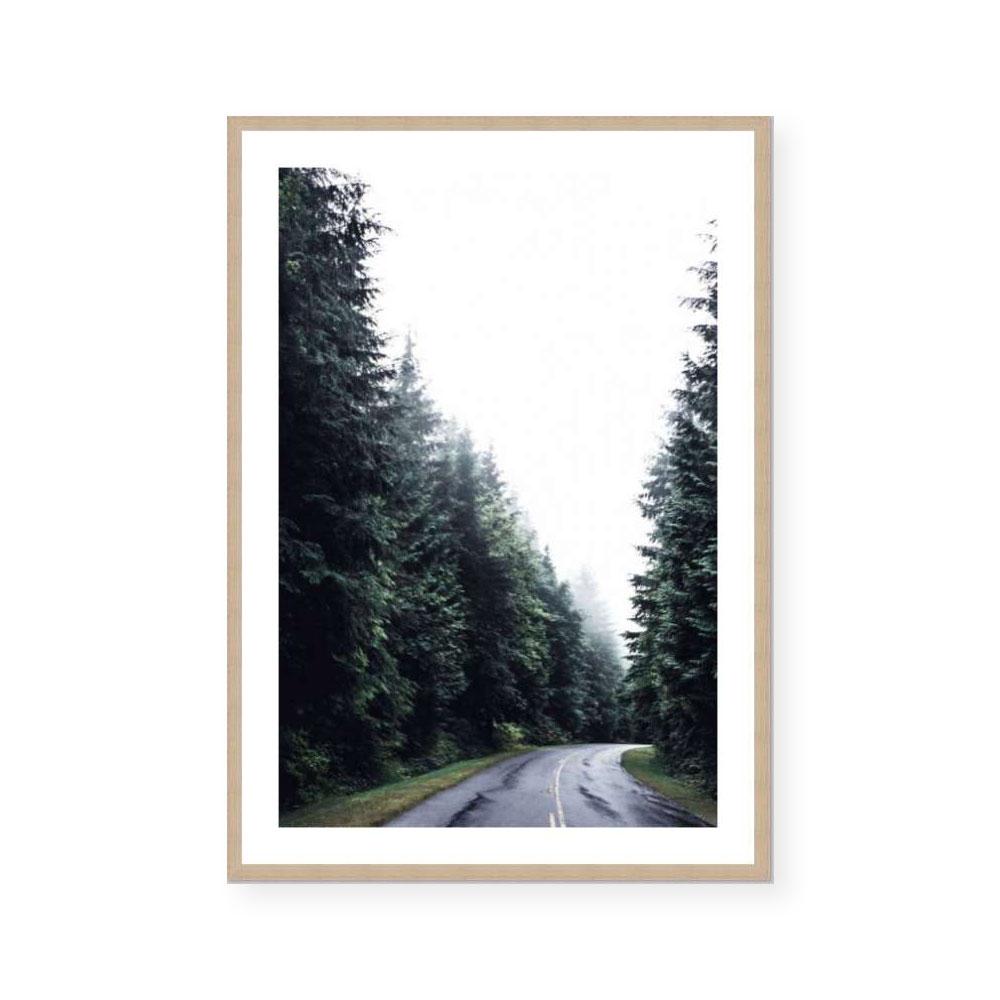 Forest Road