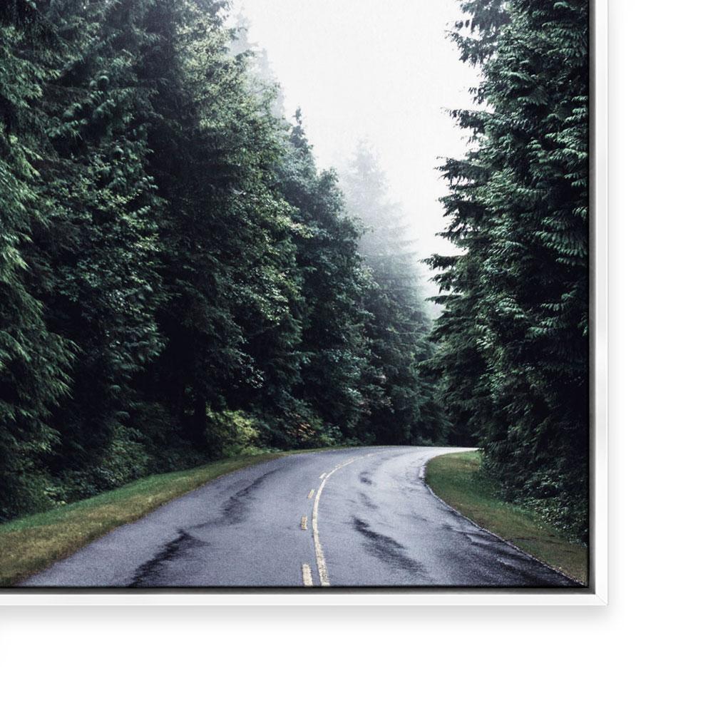 Forest Road