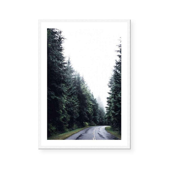 Forest Road