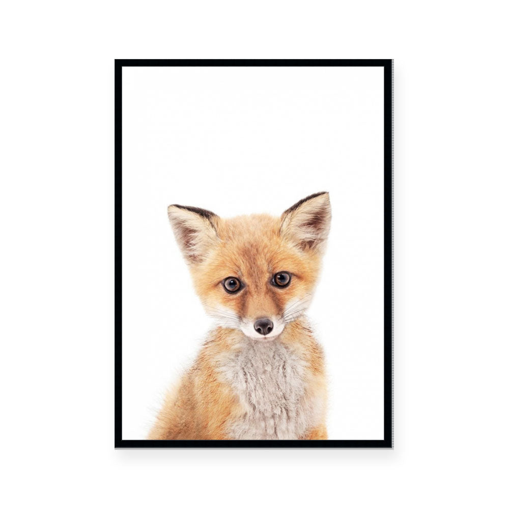 Fox | Portrait