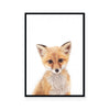 Fox | Portrait