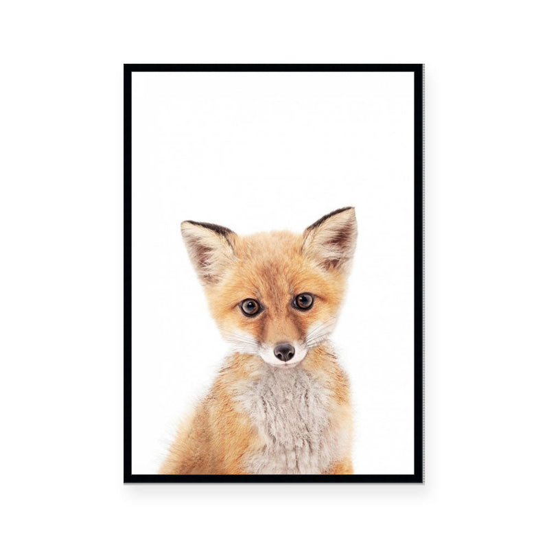 Fox | Portrait
