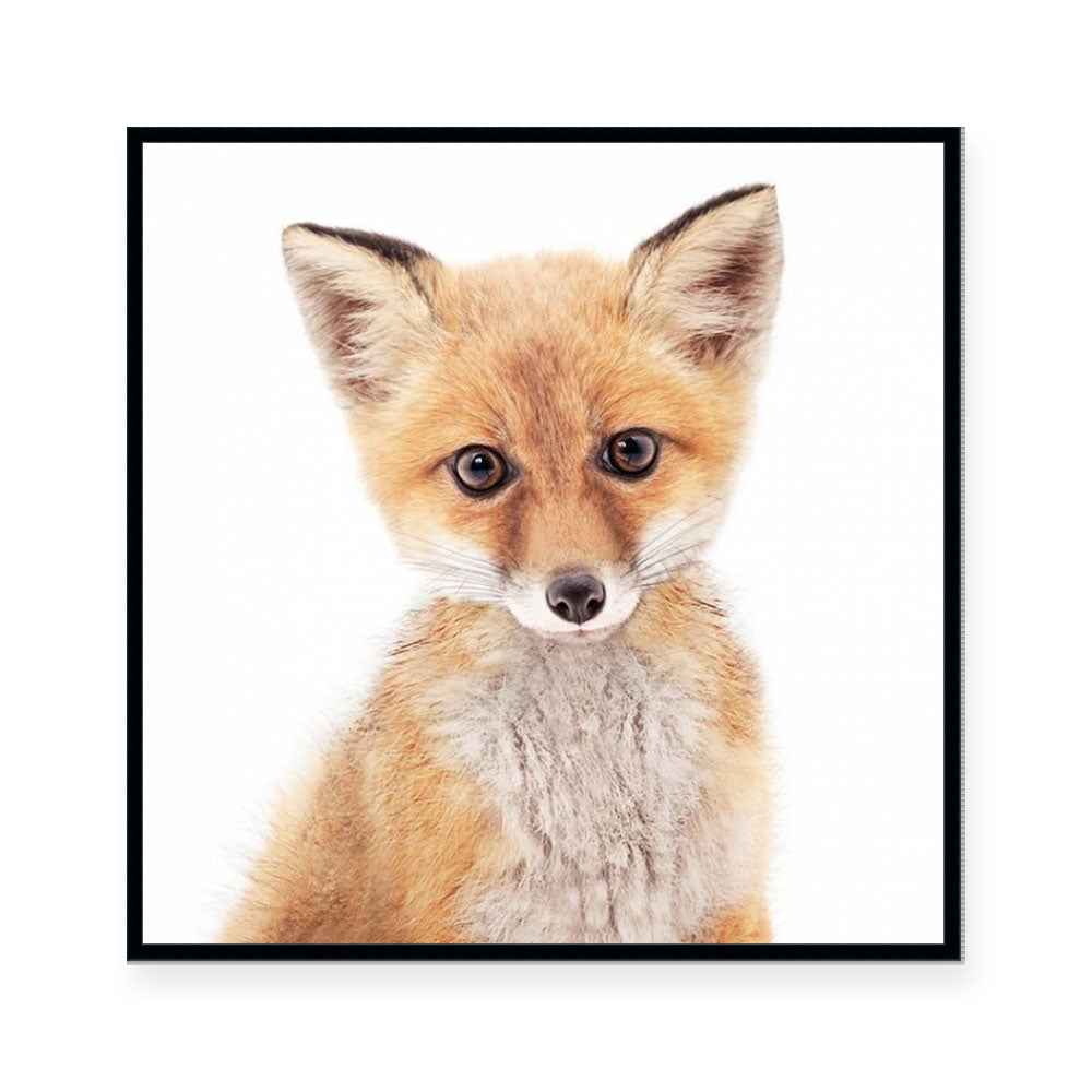 Fox | Square