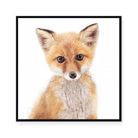 Fox | Square