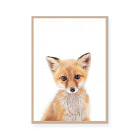 Fox | Portrait