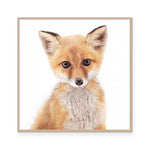 Fox | Square