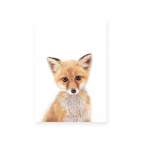 Fox | Portrait