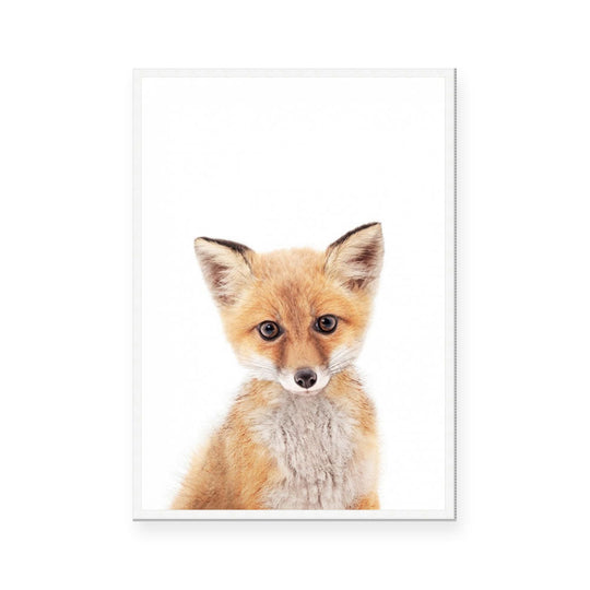 Fox | Portrait