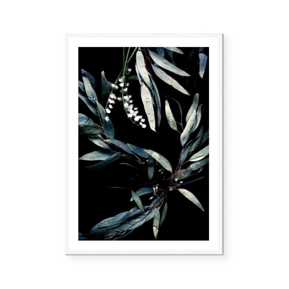 Ghost Gum