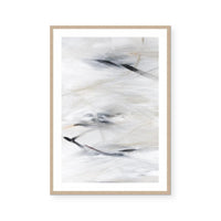 Goose Feathers I