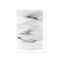 Goose Feathers I