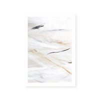Goose Feathers II