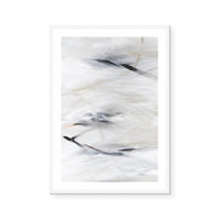 Goose Feathers I