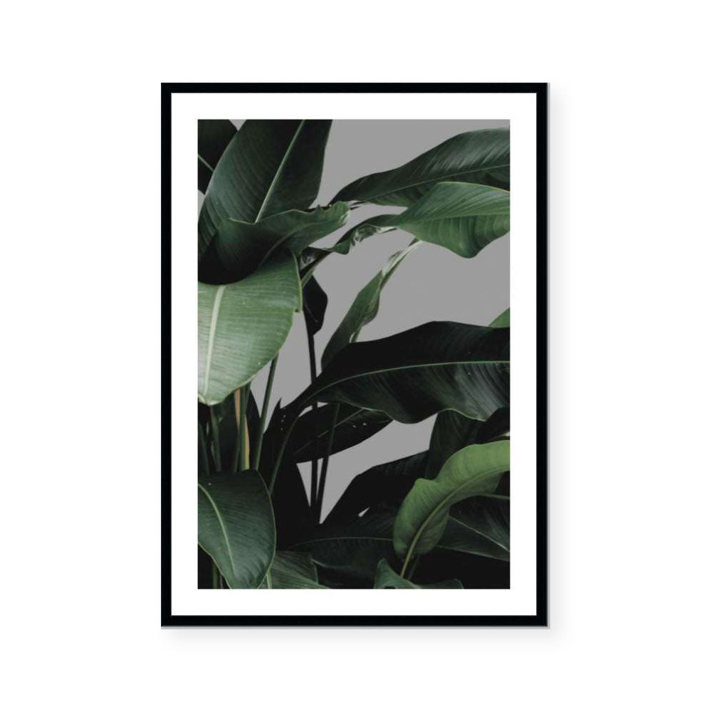 Greenery III