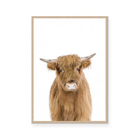 Hairy Highland