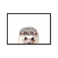 Hedgehog