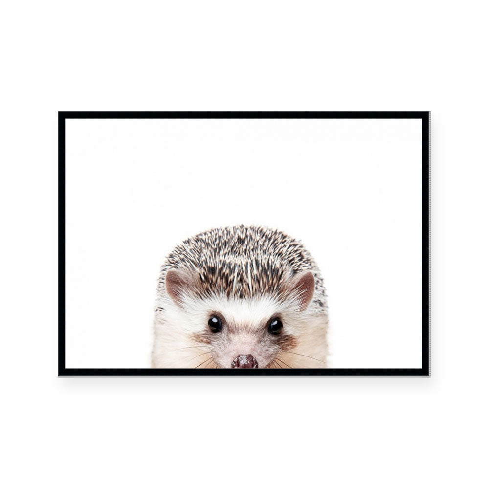 Hedgehog