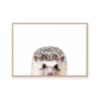 Hedgehog