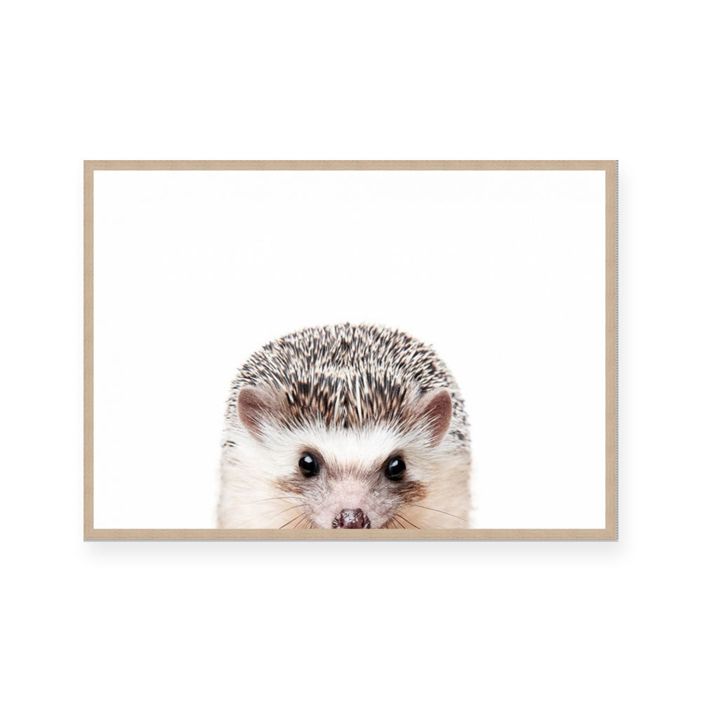 Hedgehog