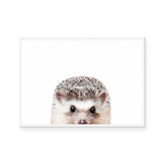 Hedgehog