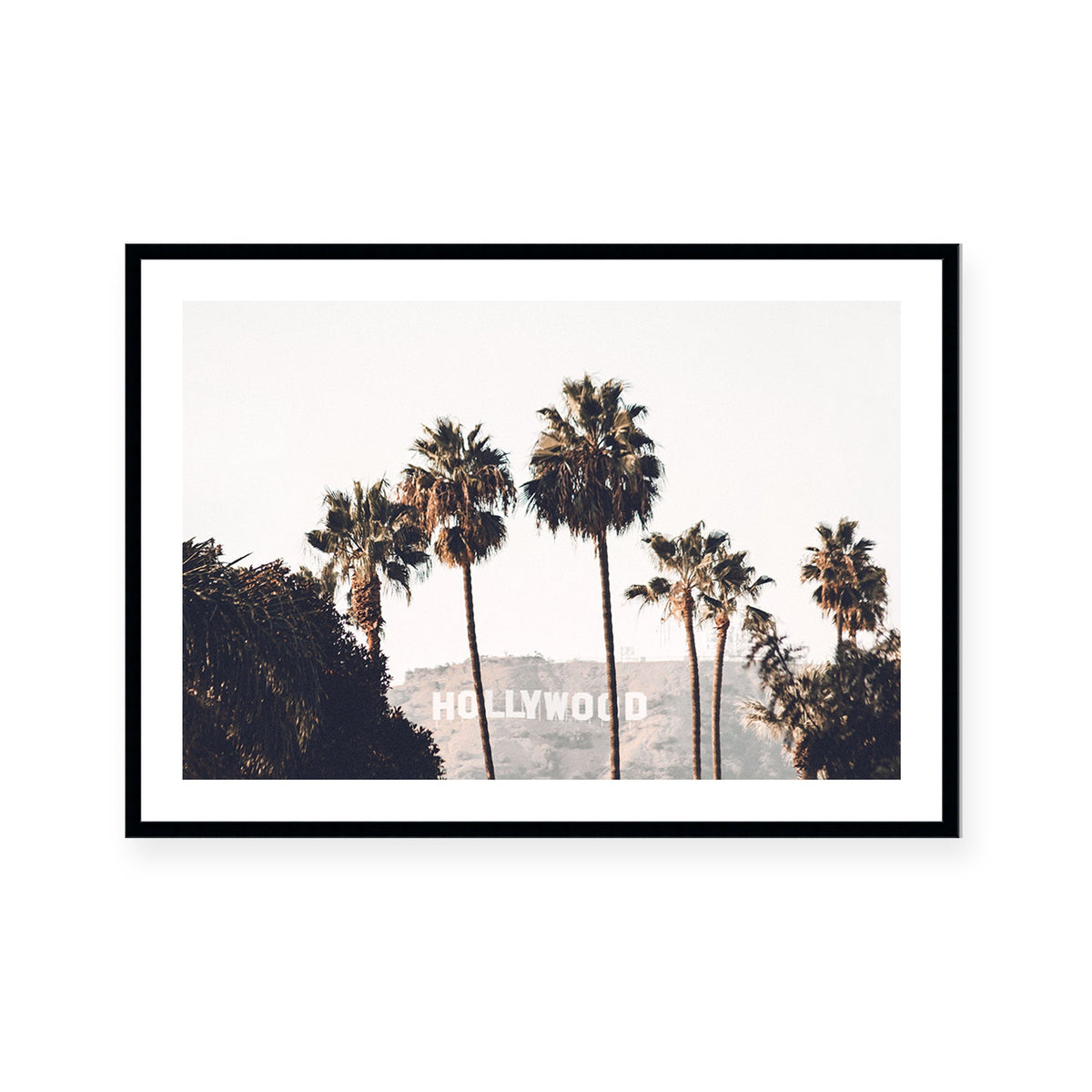 Hollywood
