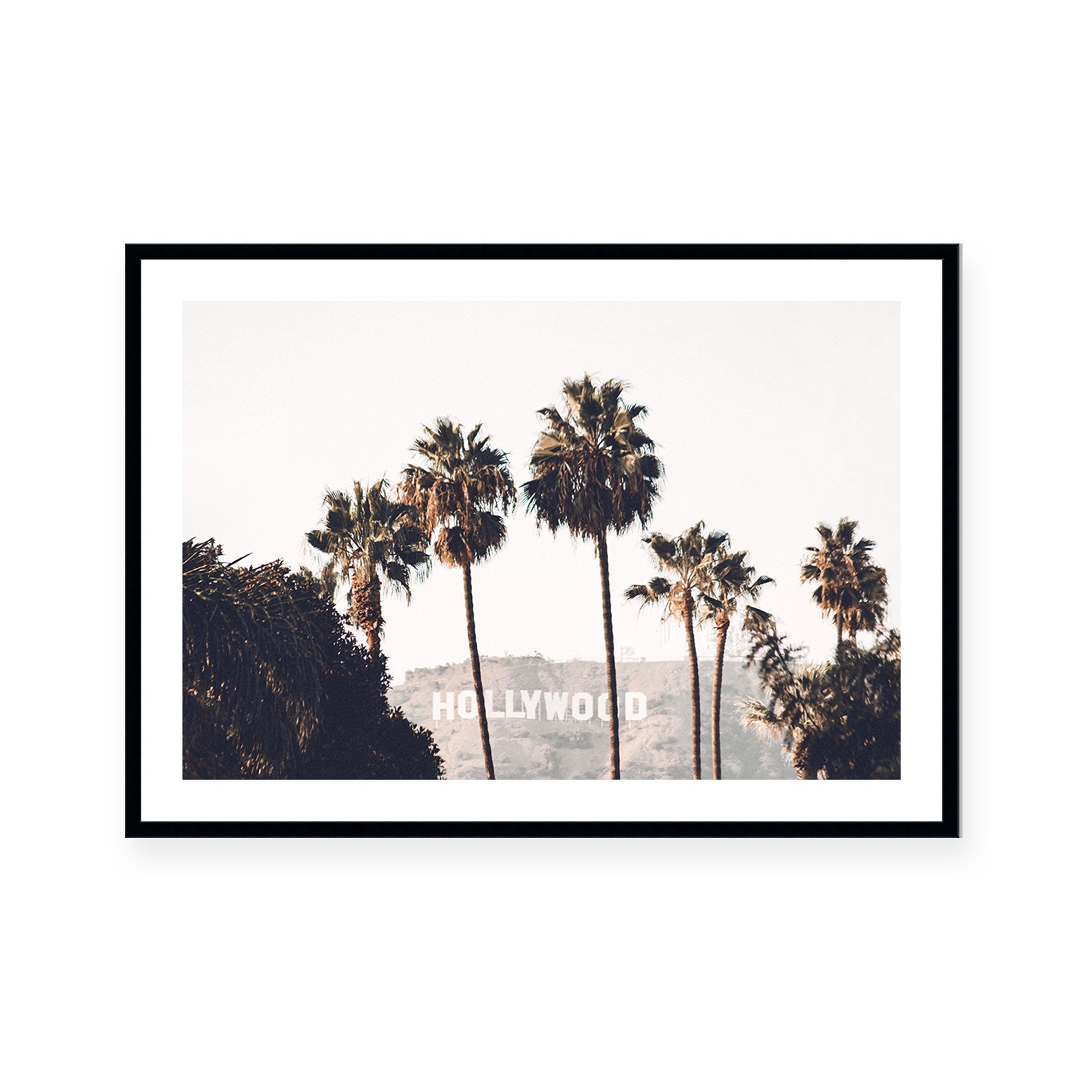 Hollywood