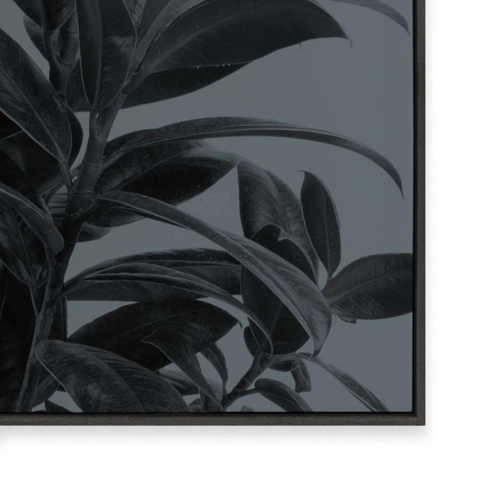 Houseplants III