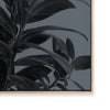 Houseplants III
