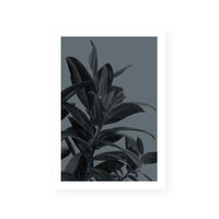 Houseplants III