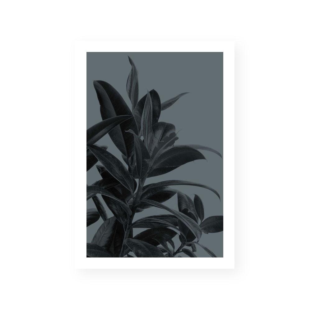 Houseplants III
