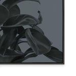 Houseplants I