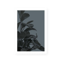 Houseplants I