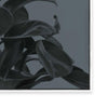 Houseplants I